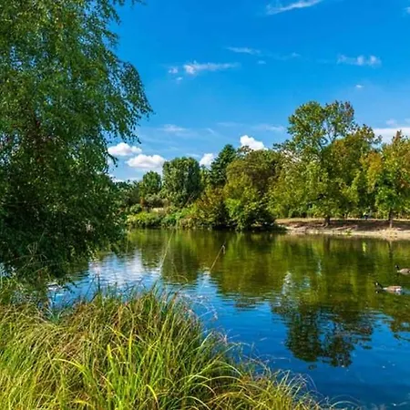 Cosy And Chic -1bd-4p- Auteuil 公寓 *